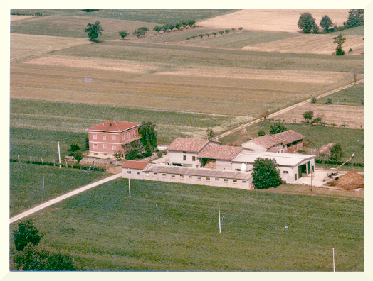 Azienda travaglini